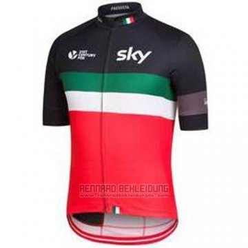 2016 Fahrradbekleidung UCI Weltmeister Lider Sky Grun Trikot Kurzarm und Tragerhose