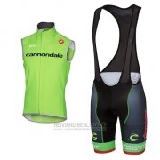 2017 Windweste Cannondale Grun