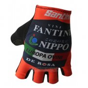 2018 Vini Fantini Handschuhe Radfahren