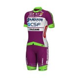 2022 Fahrradbekleidung Bardiani Csf Volett Grun Trikot Kurzarm und Tragerhose