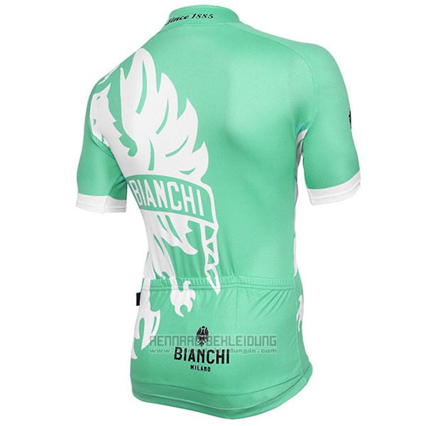 2016 Fahrradbekleidung Bianchi Grun und Wei Trikot Kurzarm und Tragerhose