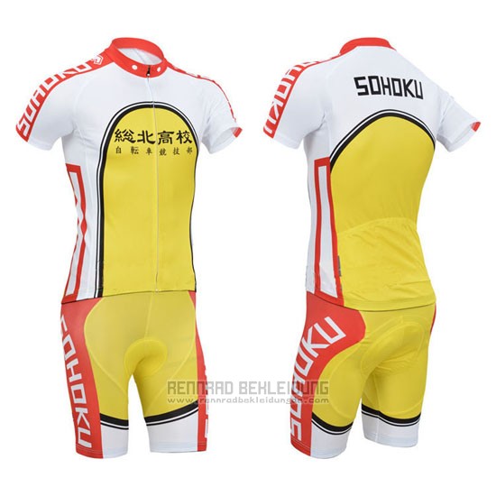 2014 Fahrradbekleidung Fox Cyclingbox Gelb und Rot Trikot Kurzarm und Tragerhose