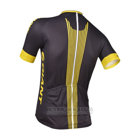 2013 Fahrradbekleidung Giant Shwarz und Gelb Trikot Kurzarm und Tragerhose - zum Schließen ins Bild klicken