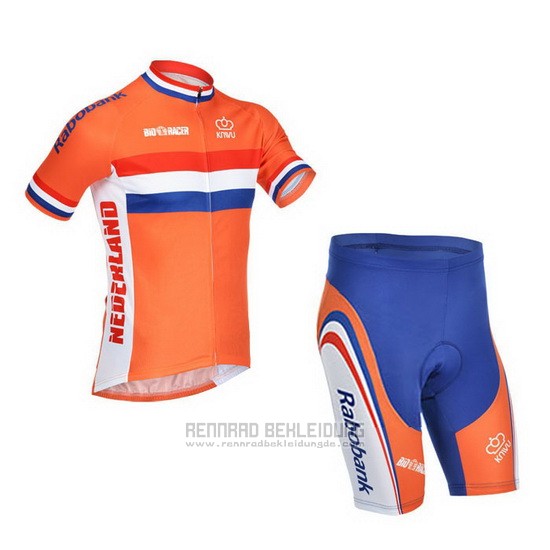 2013 Fahrradbekleidung Niederlande Wei und Orange Trikot Kurzarm und Tragerhose