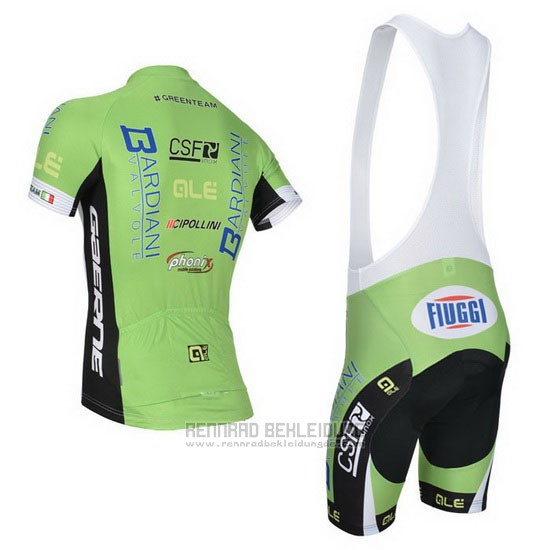 2014 Fahrradbekleidung Bardiani Wei und Grun Trikot Kurzarm und Tragerhose