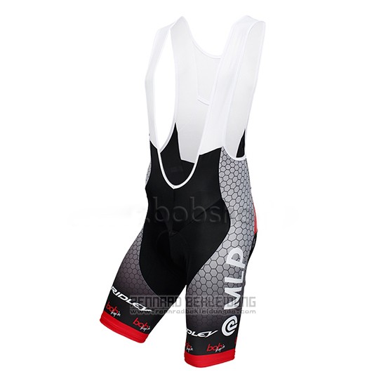 2013 Fahrradbekleidung MLP Team Bergstrasse Grau Trikot Kurzarm und Tragerhose